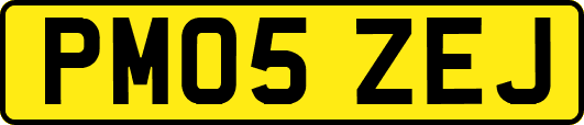 PM05ZEJ
