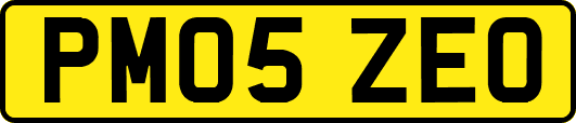 PM05ZEO
