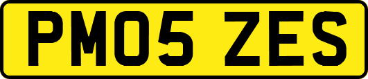 PM05ZES