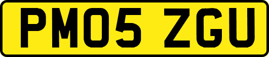 PM05ZGU