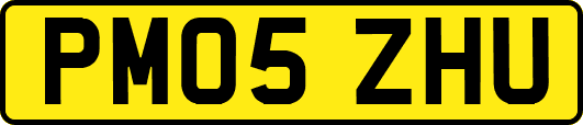 PM05ZHU