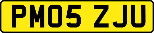 PM05ZJU