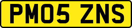 PM05ZNS