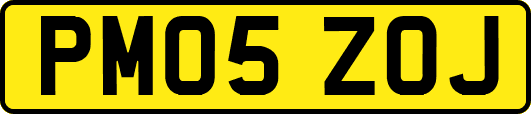 PM05ZOJ