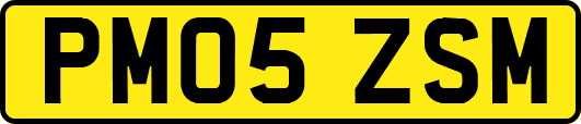PM05ZSM