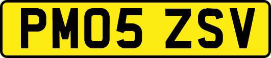 PM05ZSV