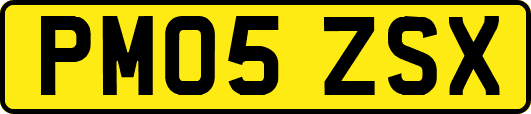 PM05ZSX