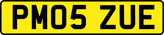 PM05ZUE