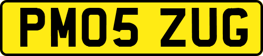 PM05ZUG