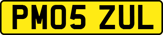 PM05ZUL