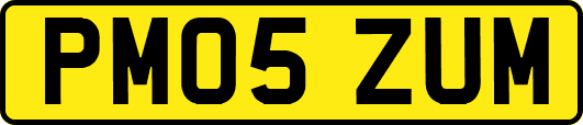 PM05ZUM