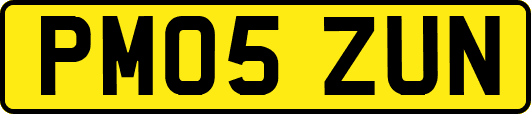 PM05ZUN