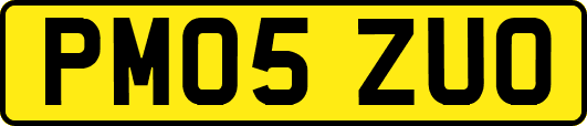PM05ZUO