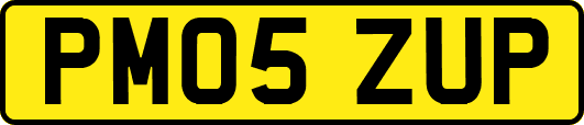 PM05ZUP