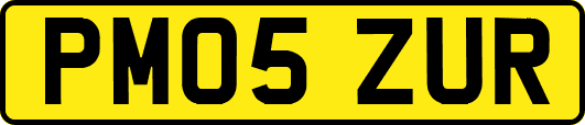 PM05ZUR