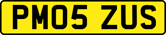 PM05ZUS