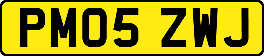 PM05ZWJ