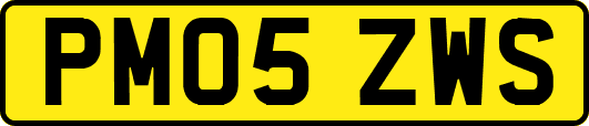 PM05ZWS
