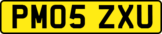 PM05ZXU