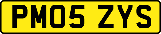 PM05ZYS
