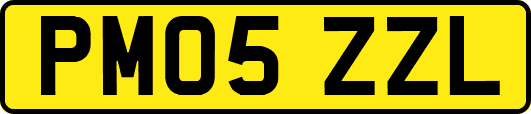 PM05ZZL