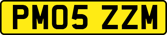 PM05ZZM