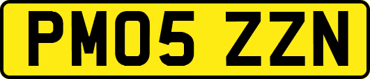 PM05ZZN