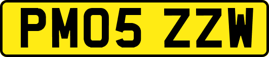 PM05ZZW
