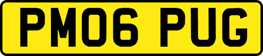 PM06PUG