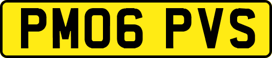 PM06PVS