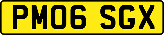 PM06SGX