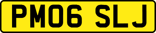 PM06SLJ