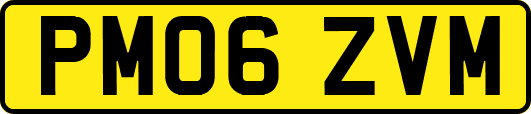 PM06ZVM