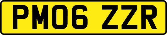 PM06ZZR