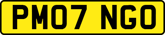 PM07NGO