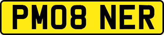 PM08NER