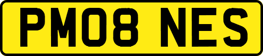 PM08NES