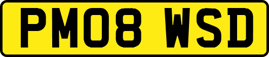 PM08WSD