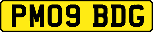 PM09BDG