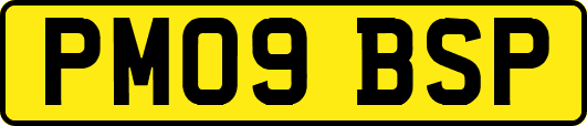PM09BSP