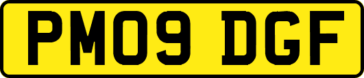 PM09DGF