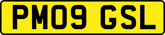 PM09GSL