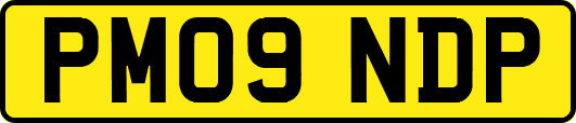 PM09NDP