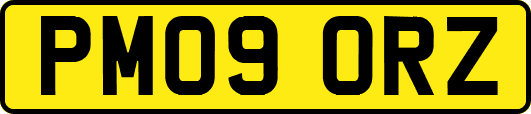 PM09ORZ