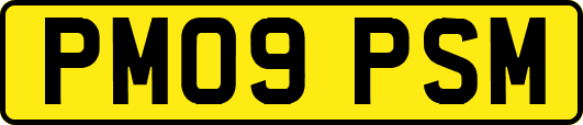 PM09PSM
