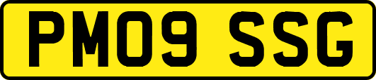 PM09SSG
