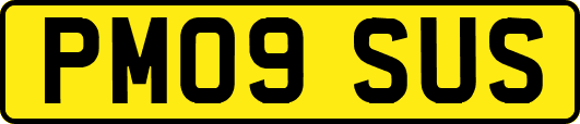 PM09SUS