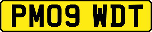 PM09WDT