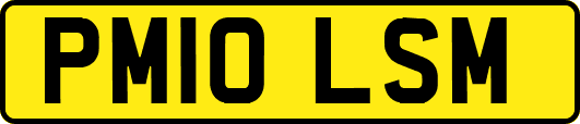 PM10LSM