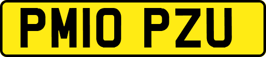 PM10PZU